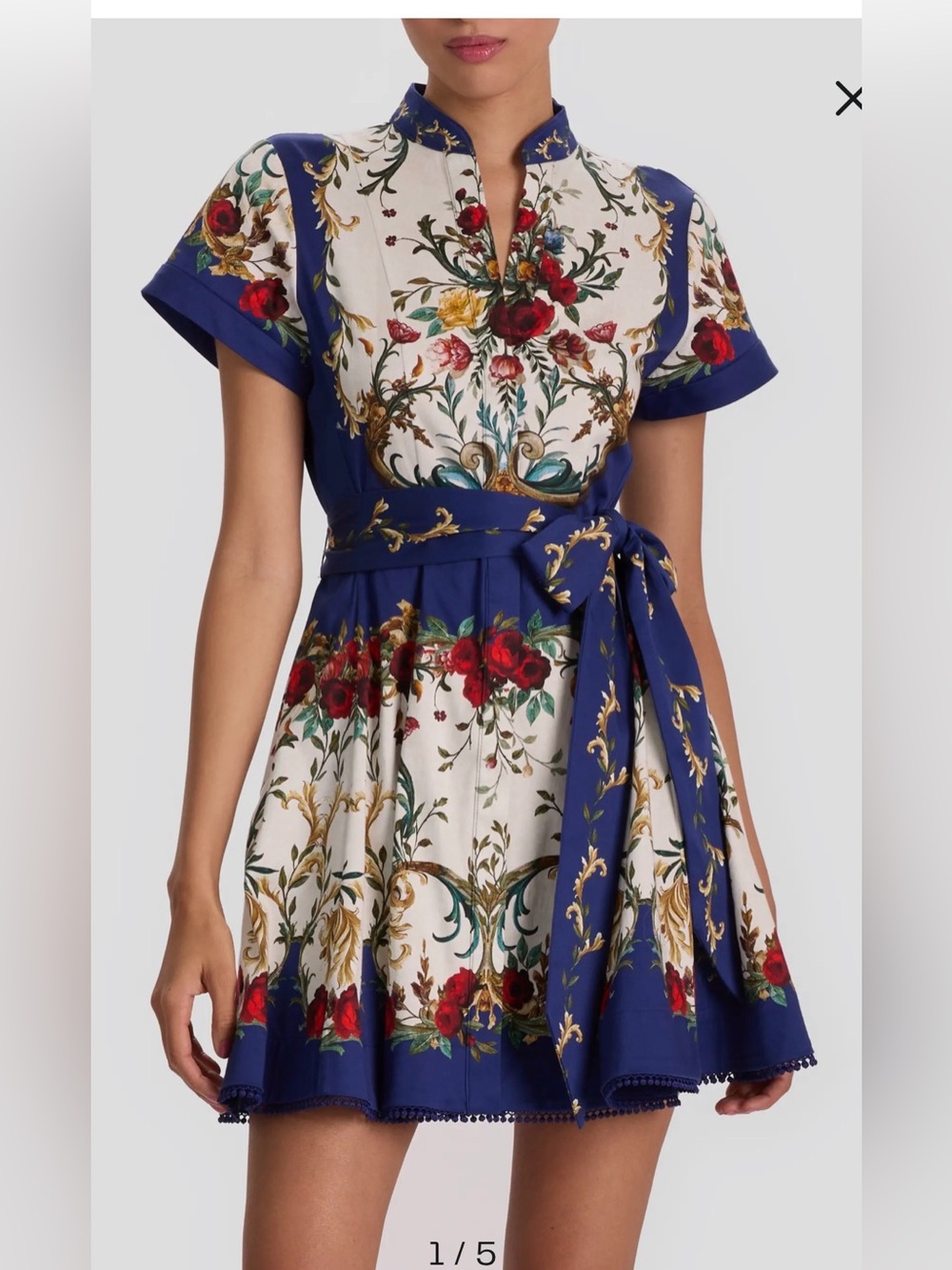 Alice and Olivia Lucy Floral Print Fit-and-Flare Dress in Blue and Ivory